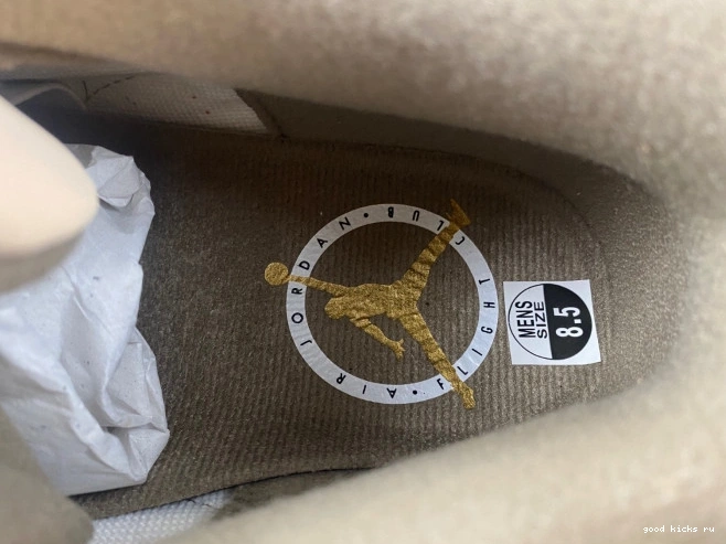 Palomino 3 Air CT8532-102 Jordan 0706